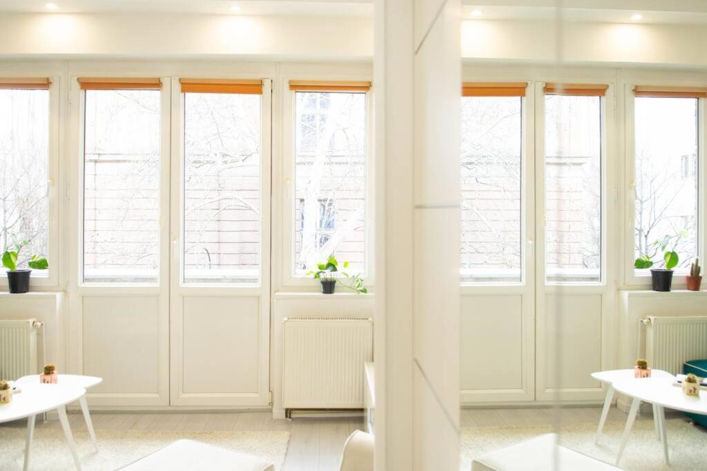 Cute And Sunny Studio - Central Location سراييفو المظهر الخارجي الصورة