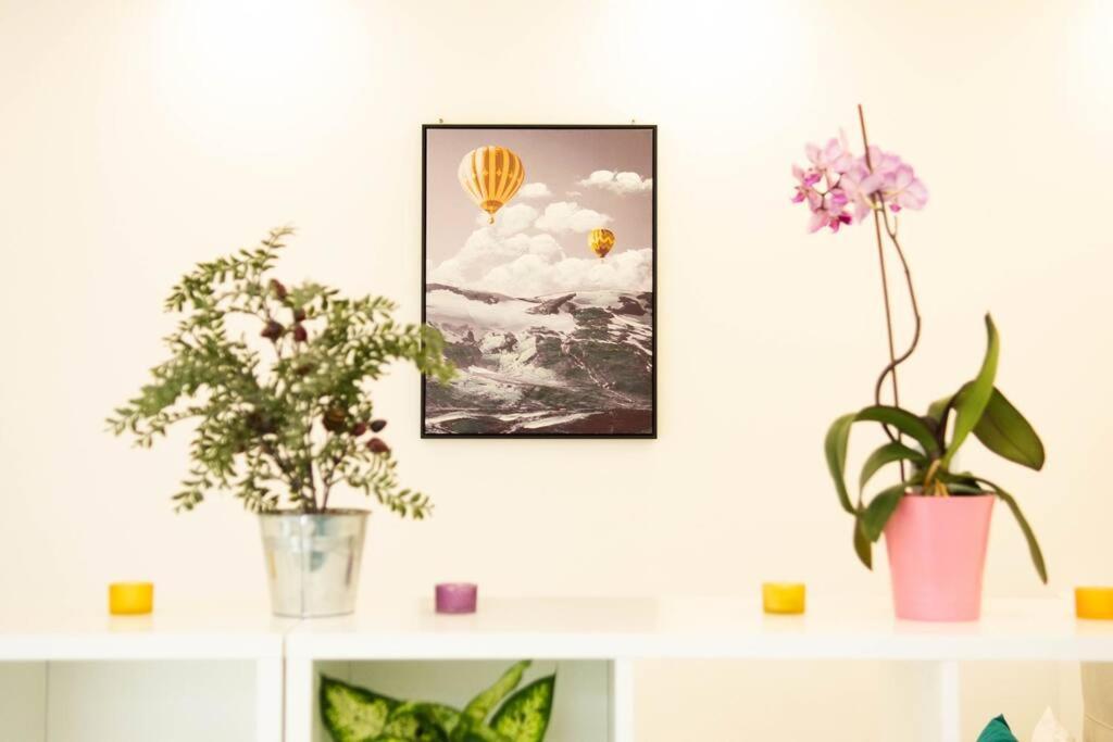 Cute And Sunny Studio - Central Location سراييفو المظهر الخارجي الصورة